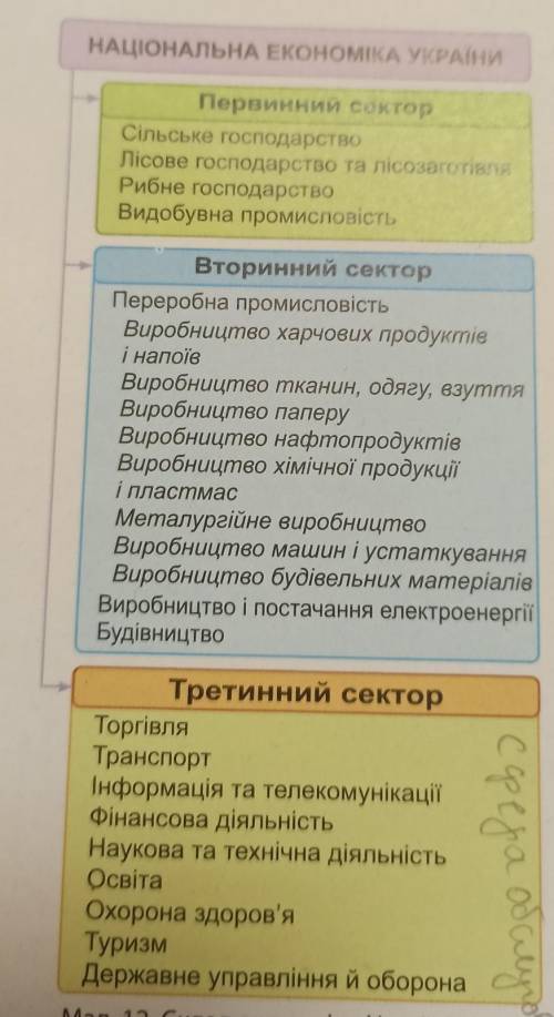 Уявіть, що ви підприємець, який займається вирощуванням ялинок. До якого сектора належіть ваше госпо