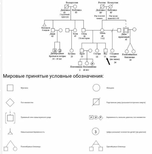 проанализируйте ген. дерево