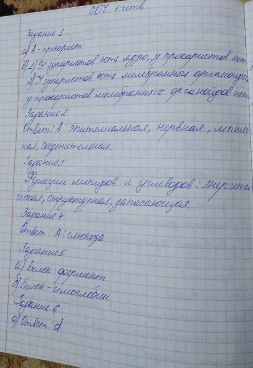 ЗАДАНИЯ СУММАТИВНОГО ОЦЕНИВАНИЯ за 1 четверть по предмету «Биология» 1. На рисунке изображены клетки