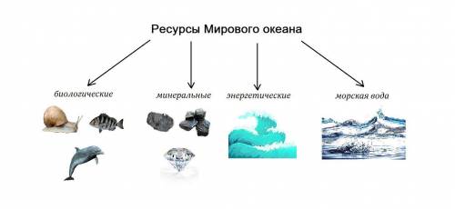 Конспект ресурсы мирового океана​