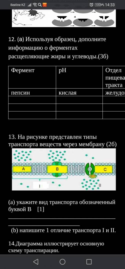 11. На рисунке представлена схема транспорта веществ через Клеточную мембрану.а)назовите тип транспо