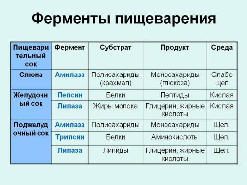 Заполните таблицу Действие ферментов пищеварительного тракта