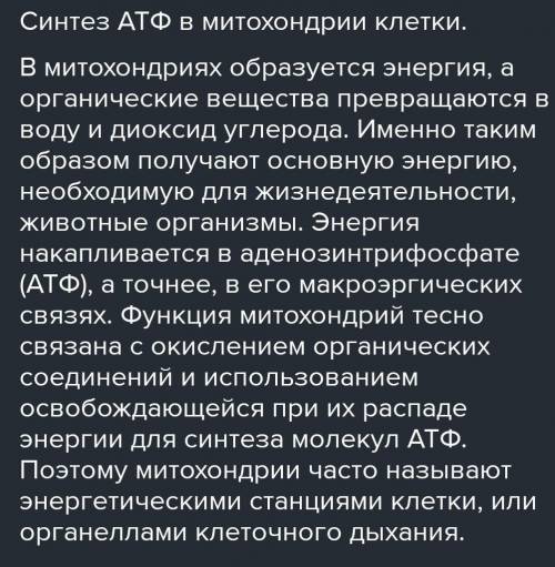 Синтез АТФ происходит в мембранах митохондрий и заключатся в присоединении к АДФ фосфатной группы пр