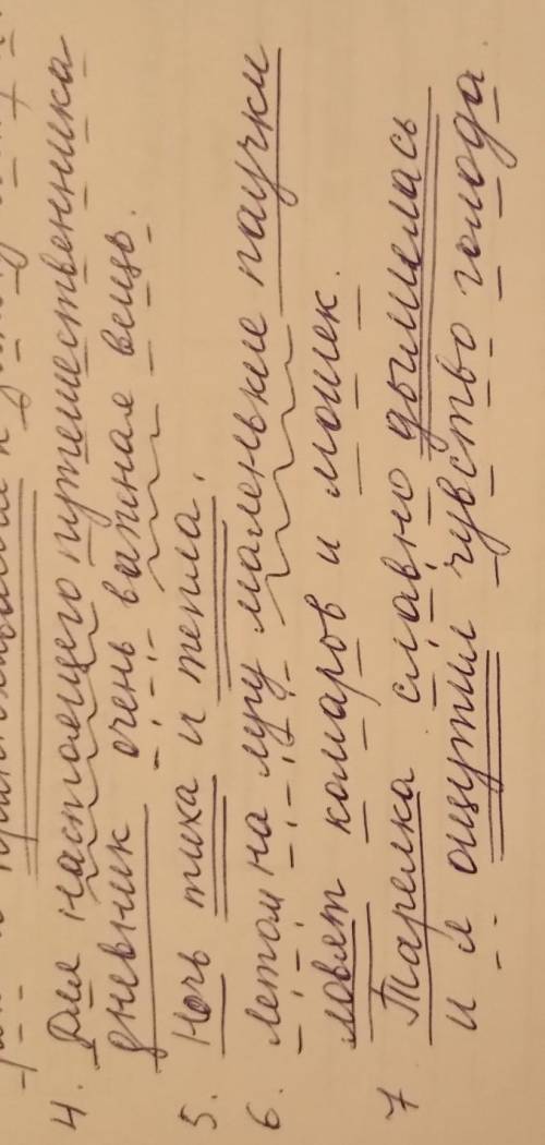 Синтаксический разбор В лесу быстро стемнело. Сначала томат использовали как декоративное растение.