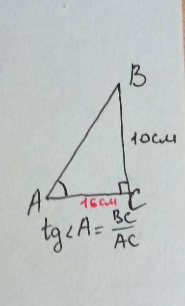 В треугольнике АВС угол С равен 90 градуса Вычислите катет АС если ВС равен 10 см и tgA=5/8 ​