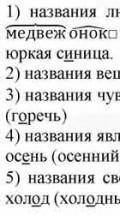 Задание.2 Запишите по 2 примерка каждому лексическому значению имени существительного 1-й вариант На