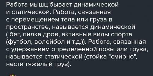 Что такое работа мышц и какой она бывает