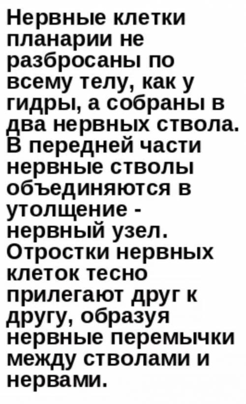 Наиболее сложное строение имеет а) Белая планария б) Пресноводная гидра И ответьте, почему именно эт