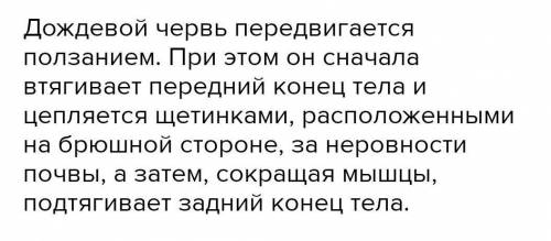 Опишите как передвигается дождевой червь. Развита ли у него мышечная система?​