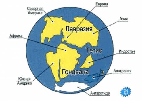 Используя карту укажите, какие материки входили в состав Лавразии и Гондваны. ответ занесите в табли