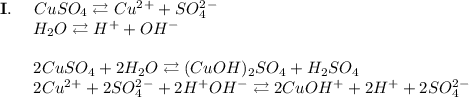 \bold{I.}~~~~CuSO_4 \rightleftarrows Cu^2^+ + SO_4^2^-\\~~~~~~~H_2O \rightleftarrows H^+ + OH^-\\\\~~~~~~~2CuSO_4 + 2H_2O \rightleftarrows (CuOH)_2SO_4 + H_2SO_4\\~~~~~~~2Cu^2^+ + 2SO_4^2^- + 2H^+OH^- \rightleftarrows 2CuOH^+ + 2H^+ + 2SO_4^2^-\\