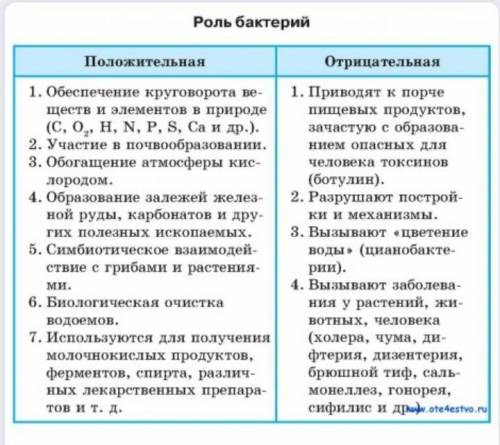 1)позитивна роль бактерий2)негативна роль бактерий​