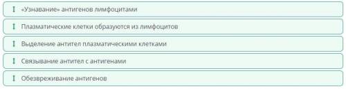 Определите правильную последовательность этапов механизма гуморального иммунитета​