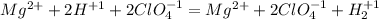 Mg^{2+} + 2H^{+1} + 2ClO_{4}^{-1} = Mg^{2+} + 2ClO_{4}^{-1} + H_{2} ^{+1}