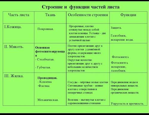 Таблица: Внутреннее строение листа Часть листа Ткань Особенности строения функции Кожица Мякоть Жилк