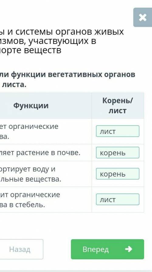 Определи функции вегетативных органов корня и листа.​