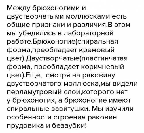 Раковины представителей разных классов различаются по внешнему виду. Сравните строение раковины Безз