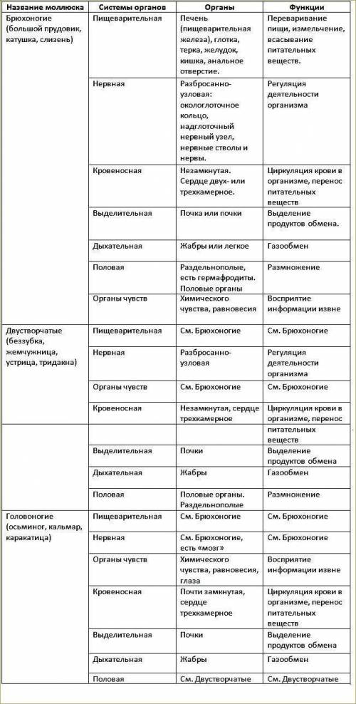 Системы органов моллюсков , чем они представлены. Кратко