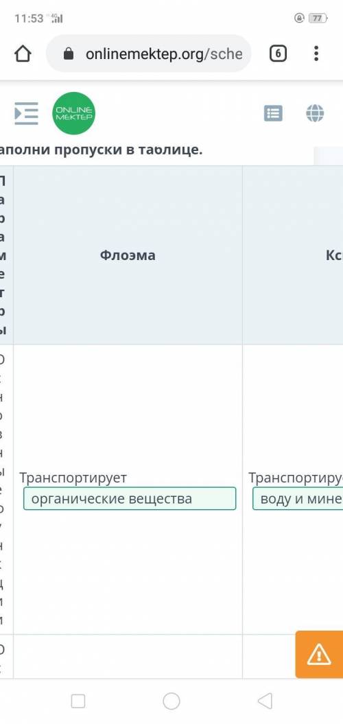 Ксилема, флоэма, и их структурные элементы Заполни пропуски в таблице. Параметры Флоэма Ксилема Осно