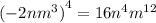 { (- 2n {m}^{3}) }^{4} = 16 {n}^{4} {m}^{12}