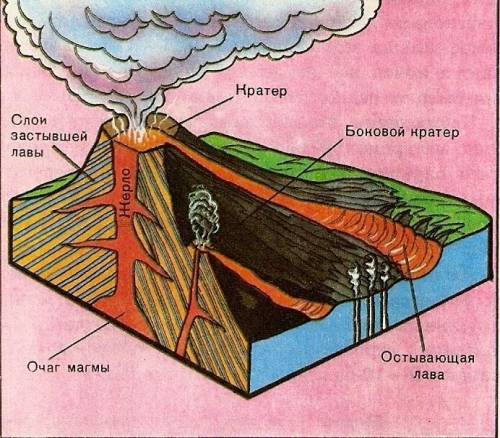 1. Где располагаются очаги вулканов? а) земная кора в) средняя мантия б) верхняя мантия г)нижняя ман