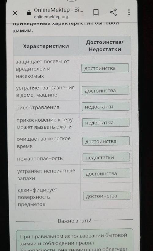 Классифицируй достоинства и недостатки приведенных характеристик бытовой химии. ХарактеристикиДостои