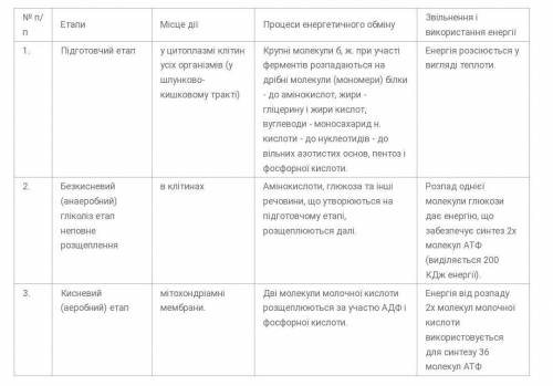 Порівняйте енергетичний ефект трьох етапів енергетичного обміну​