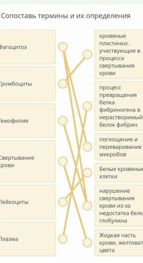 Сопоставь термины и их определения ЭТО СОР​