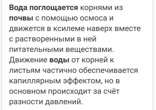 Как растения поглощают воду и питательные вещества из почвы у меня всего ответ должен быть не большо