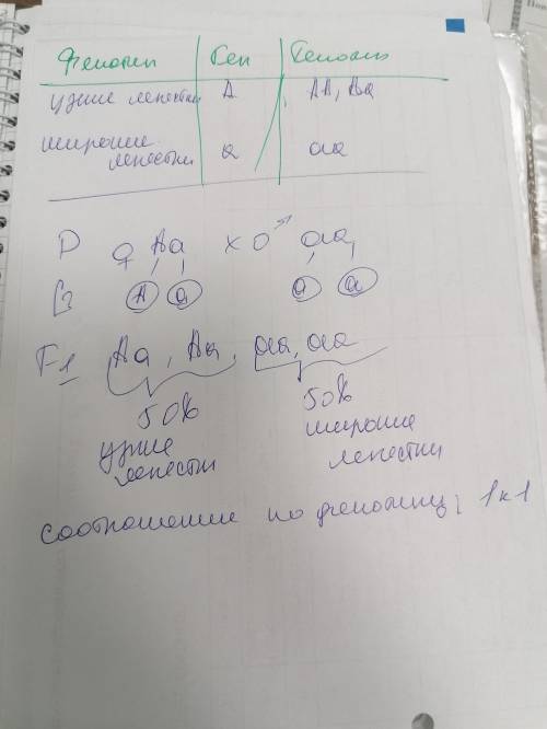 При скрещивании цветков ромашки с узкими (доминантными) и широкими (рецисиивными).Женская особь гете