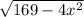 \sqrt{169-4x^2}