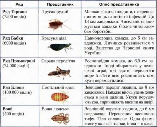 Таблиця Комахи Біологія 7 клас​