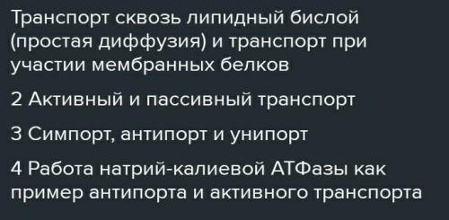 В тетради заполните таблицу. Виды (кластеры) проектов и примеры к ним. Пример в колонке №2 образец (