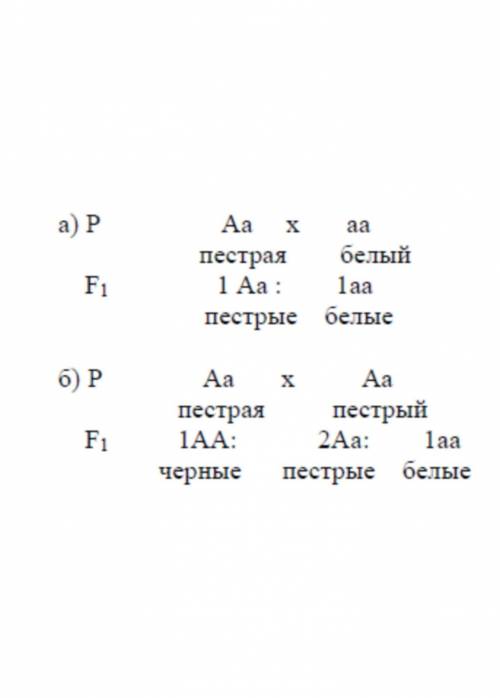 При скрещивании между собой чистопородных белых кур потомство оказывается белым,при скрещивании черн