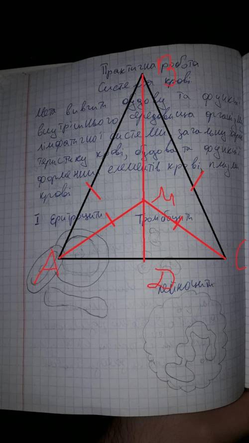 У рівнобедренному трикутнику ABC з основою AC на медіані BD позначили довільгу точку M .Доведіть,що