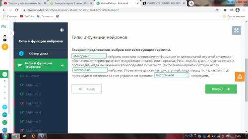 ОНЛАЙН МЕКТЕП Заверши предложения, выбрав соответствующие термины. нейроны отвечают за передачу инфо