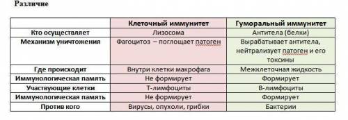 4. Сравните механизмы клеточного и гуморального иммунитета, закончив предложения. На основании уничт