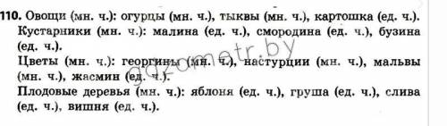 Упражнение 110 Сильнова,Каневская,Олейник