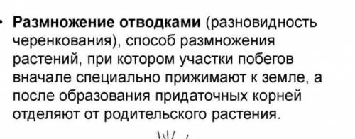 При размножении растения отводками стебля, какую новую функцию приобретёт этот орган?