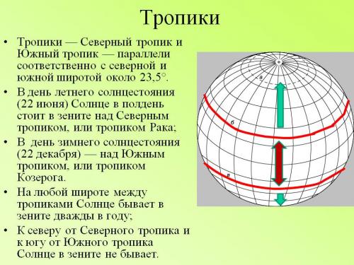 Правильный ответ: Тропик.
Тропики - это тепловой пояс, расположенный по обе стороны от экватора. Наи