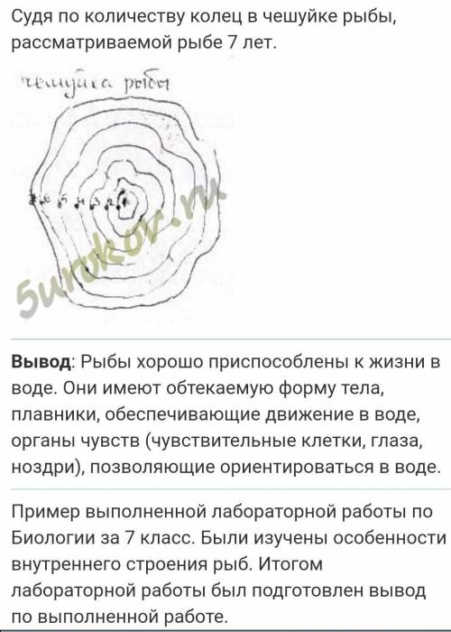 Лабораторная работа по биологии 7 класс внешнее строение и передвижение рыб рассмотреть надо одну ры