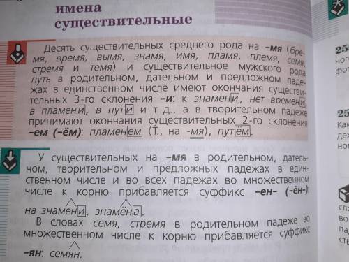 Время, бремя, знамя, имя, пламя, семя, стремя. Чем они отличаются от других существительных? ​