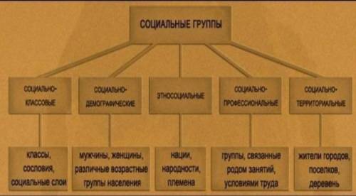 Французское общество делилось на три основные социальные группы, назвать​