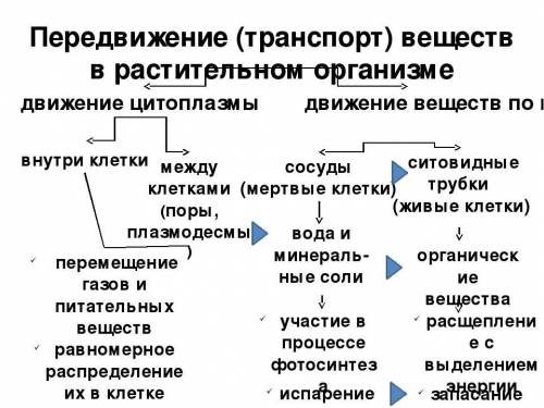 Изобразите транспорт веществ у растений в виде схемы. Укажите, какие органы, их части и системы заде