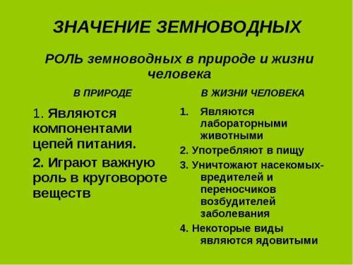 Какю роль в природе играют амыибии​