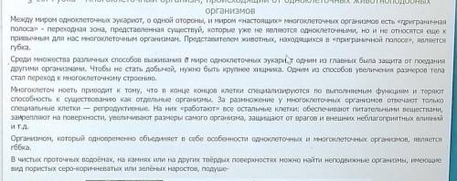 ГУБКА – БАГАТОКЛІТИННИЙ ОРГАНІЗң, ЩО ПОХОДИТЬ ВІД ОДНОКЛІТИННИХТВАРИНОПОДІБНИХ ОРГАНІЗМІВ конспект Б