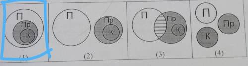 13. В кружке «Любителей бананов и математики» участники получили задание: нарисовать схему, как соот