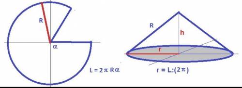 Вырежите из одного и того же круга два неравных сектора.Сверните каждый сектор в конус.У какого кону