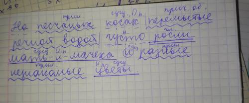 На песчаных косах перемытые речной водой густо росли мать-и-мачеха и разные незнакомые цветы синтакс