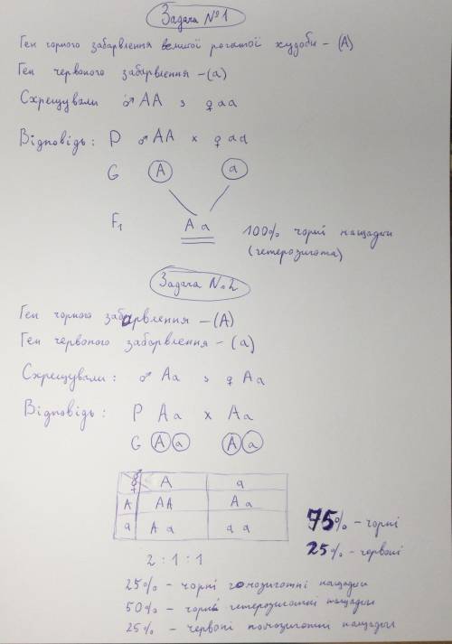 ЗА ВЫПОЛНЕНИЕ ЗАДАЧИ! НЕ СЛОЖНО! *Задача на скриншоте*